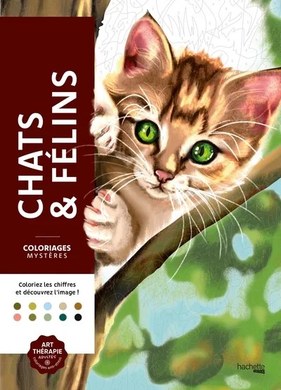 [4834711] Coloriages mystères - Chats et félins
