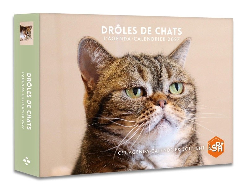 [3173816] Drôles de chats - Agenda - Calendrier - Semainier 2027