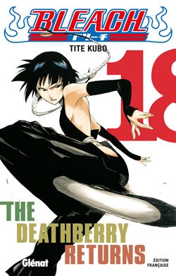 Bleach - Tome 18