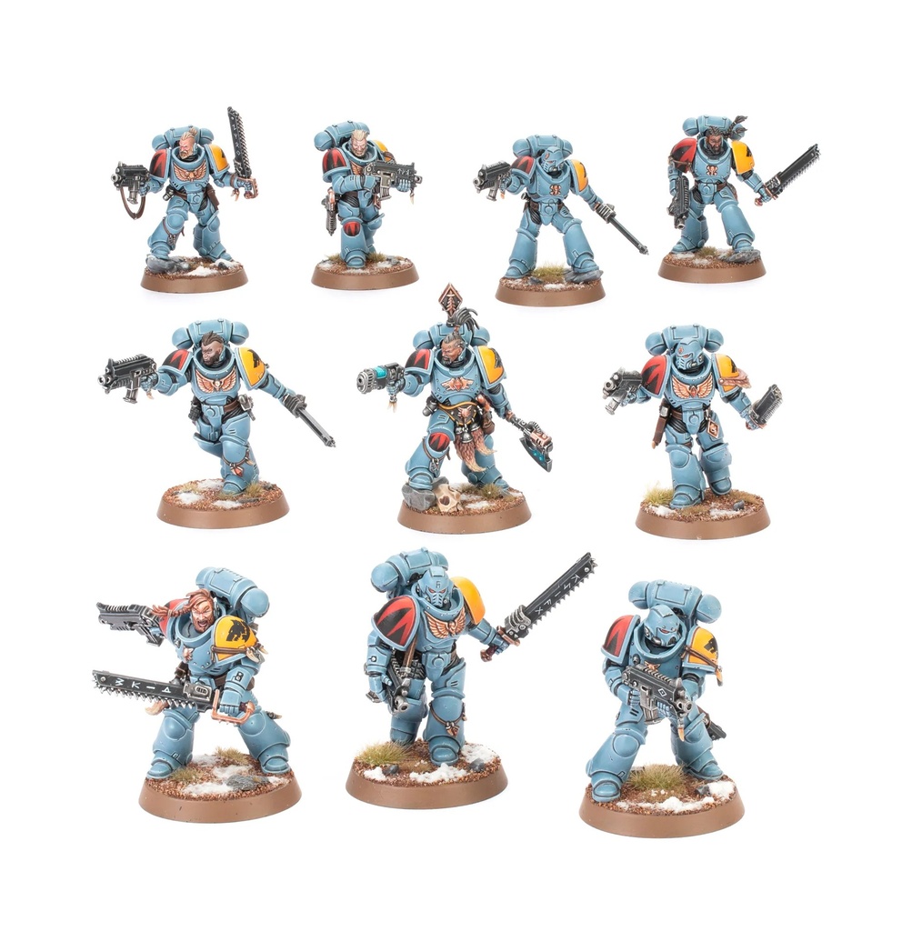[99120101433] Chasseurs Gris