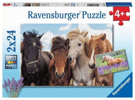 [00005148] Puzzles 2x24 p - L'amour des chevaux