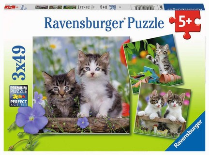 [00008046] Puzzles 3x49 p - Chatons tigrés