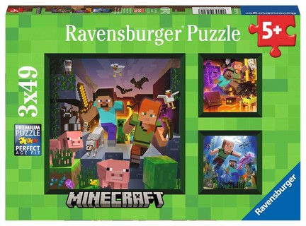 [00005621] Puzzles 3x49 p - Biomes de Minecraft