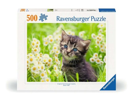 Puzzle 500 p - Chaton dans la prairie