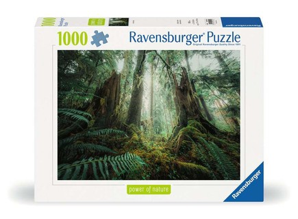 [12000292] Puzzle 1000 p - En forêt  (Nature edition)
