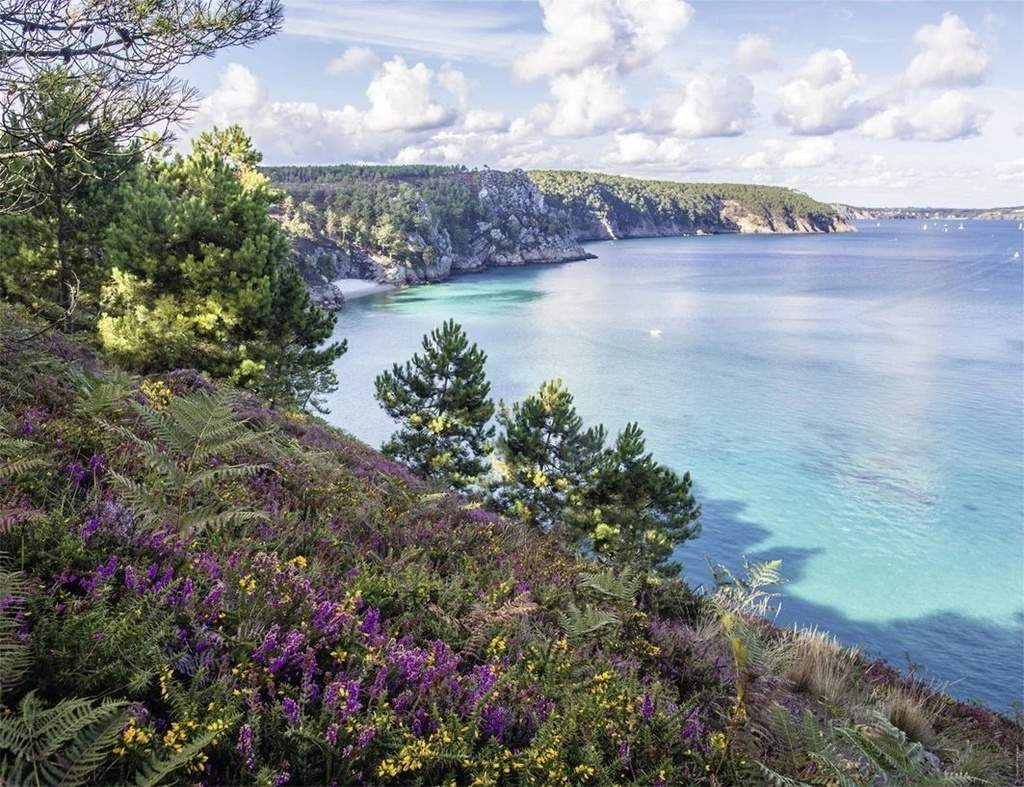 [87879] Puzzle 2000 pièces : Plage de Crozon (Île Vierge)