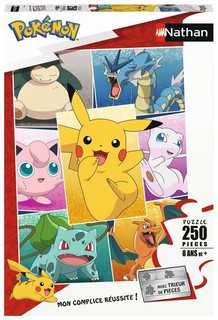 Nathan puzzle 250 p - Types de Pokémon