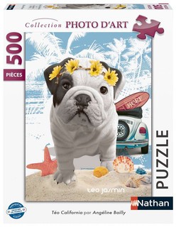 [12000953] Nathan puzzle 500 p - Téo California / Téo Jasmin