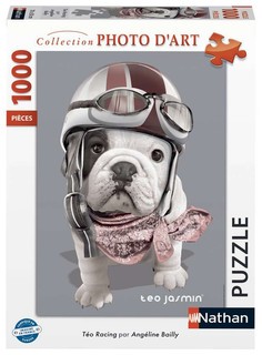 [12000349] Nathan puzzle 1000 p - Téo Racing / Téo Jasmin
