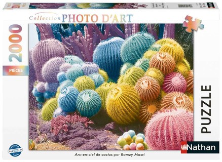 [12001142] Nathan puzzle 2000 p - Arc-en-ciel de cactus