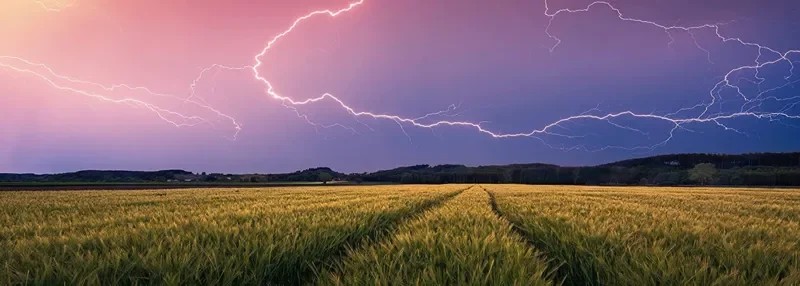 Puzzle 500 pièces : Orage d’été (Nature edition)