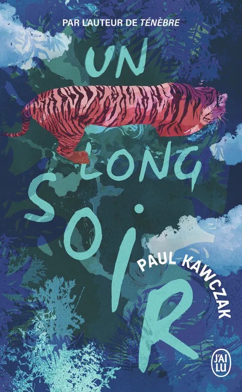 Un long soir