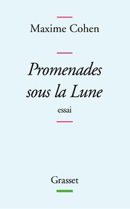 Promenades sous la lune