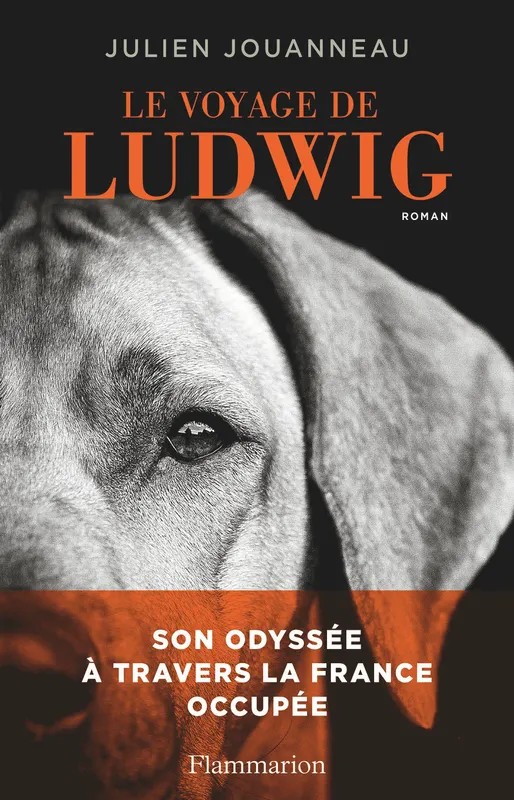Le Voyage de Ludwig