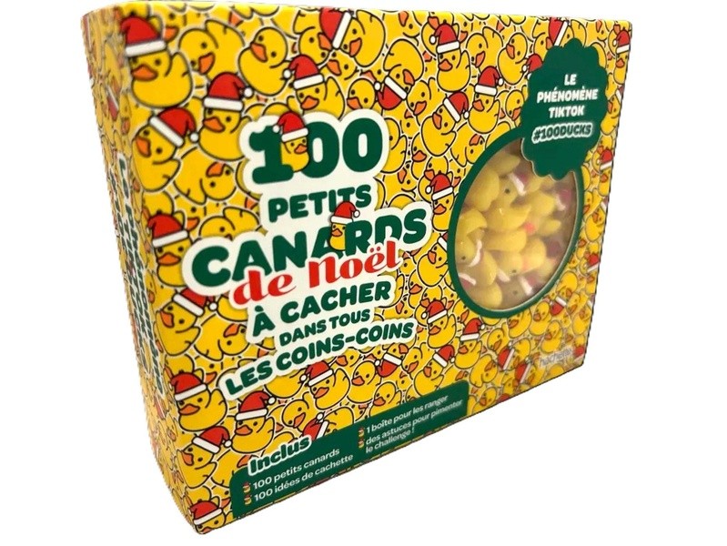 100 CANARDS DE NOEL A CACHER