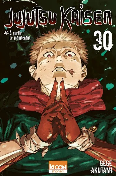 [1065197] Jujutsu Kaisen T30