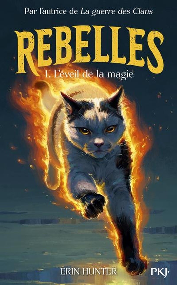 REBELLES - TOME 1 L'EVEIL DE LA MAGIE - VOL01
