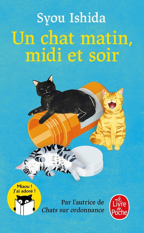 UN CHAT MATIN, MIDI ET SOIR