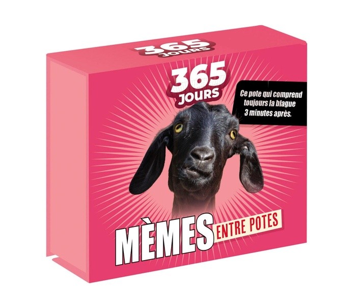 365 JOURS - MEMES ENTRE POTES