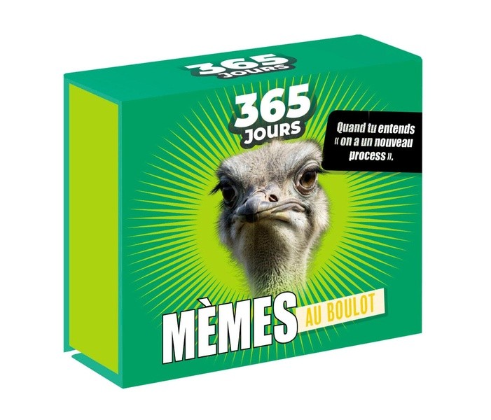 365 JOURS - MEMES AU BOULOT