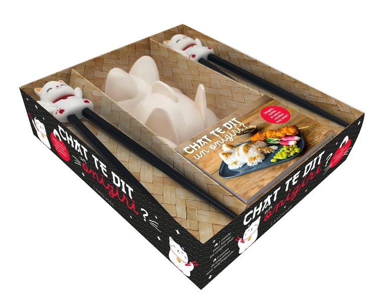 CHAT TE DIT UN ONIGIRI ?