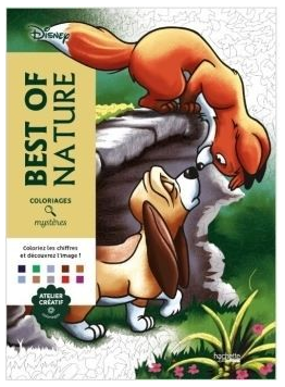 [1674952] Coloriages mystères Disney - Best of Nature