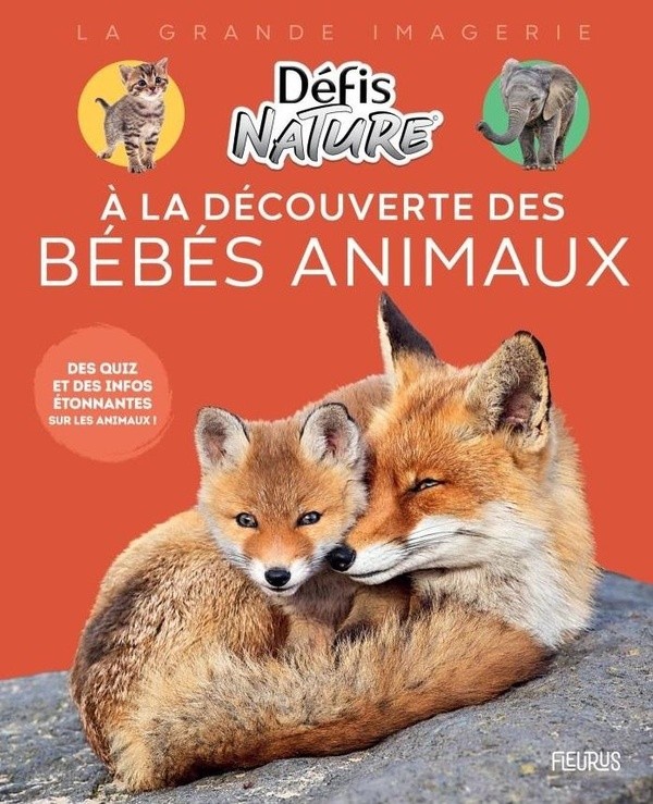 A LA DECOUVERTE DES BEBES ANIMAUX