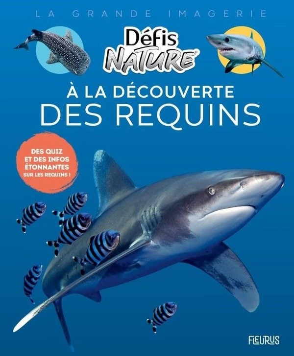 A LA DECOUVERTE DES REQUINS