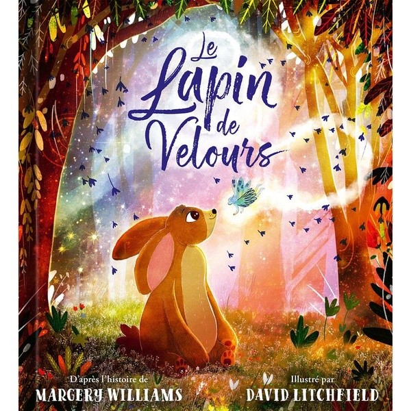 LE LAPIN DE VELOURS