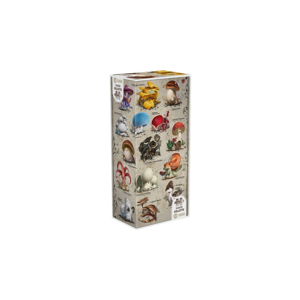Puzzle Signature 1000 pièces - Dracofungus : Taxonomic