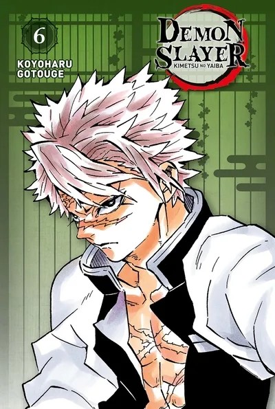 [5388631] Demon Slayer - Edition Pilier T06