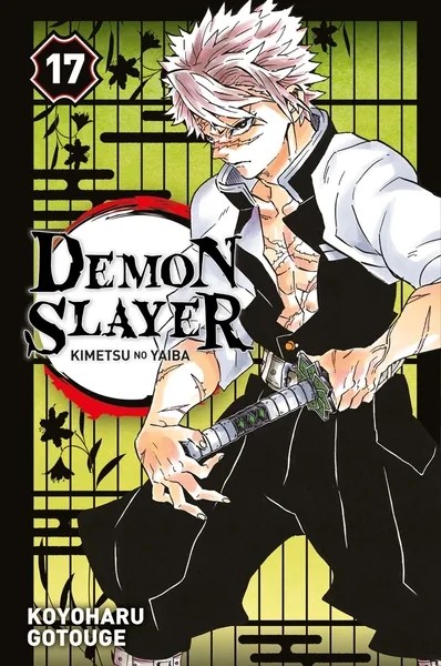 [5521030] Demon Slayer T17