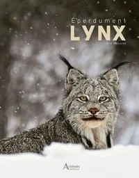 [S00031] EPERDUMENT LYNX