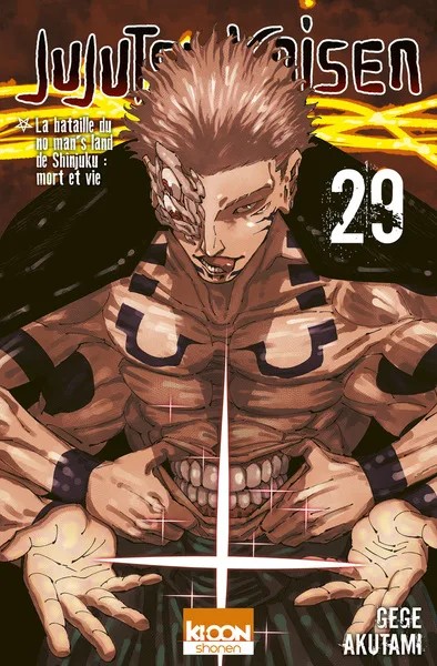 [1064173] Jujutsu Kaisen T29