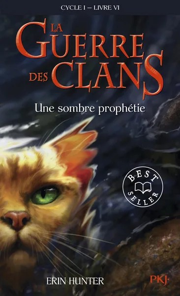 [463009] La guerre des clans - Cycle I - Tome 6 Une sombre prophétie - poche