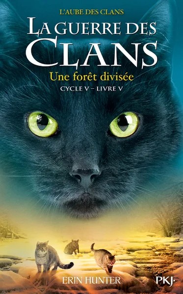 L'aube des clans - Tome 5 - Une forêt divisée