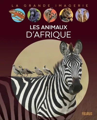 [FS85376] Les animaux d'Afrique