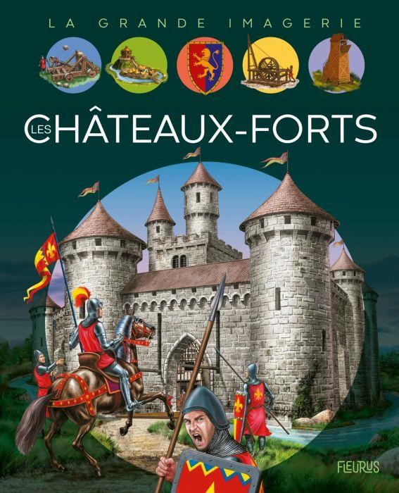 [274693N2] Les châteaux forts