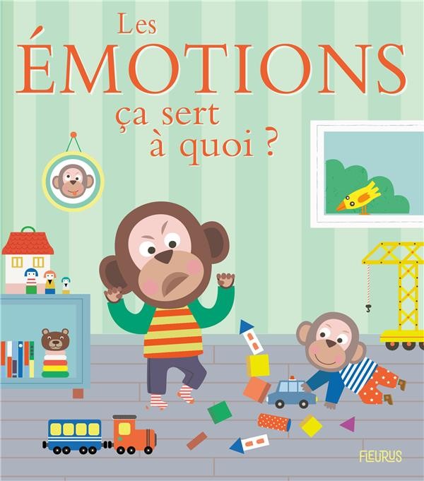 [FS65804] Les émotions