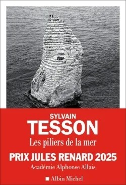 [4864991] Les Piliers de la mer