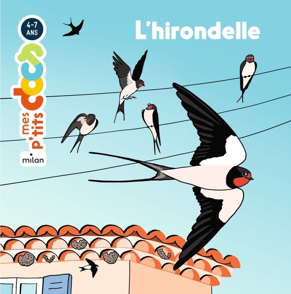 [3597321] L'hirondelle