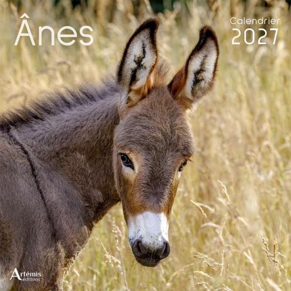 [434732] Calendrier Ânes 2027