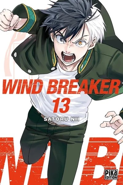 [4490773] Wind Breaker T13
