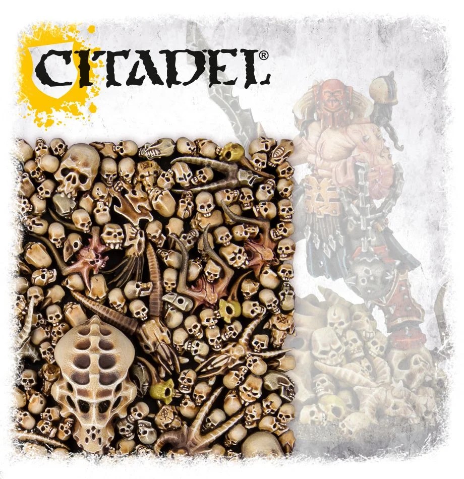 [64-29] Citadel Skulls
