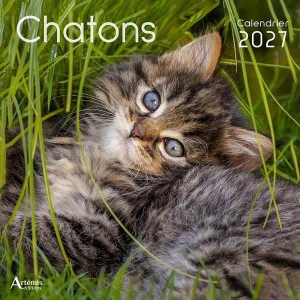 [434708] Calendrier chatons 2027