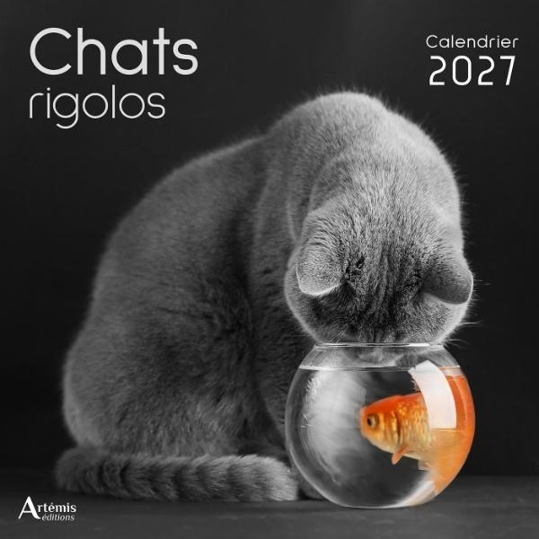 [434709] Calendrier chats rigolos 2027