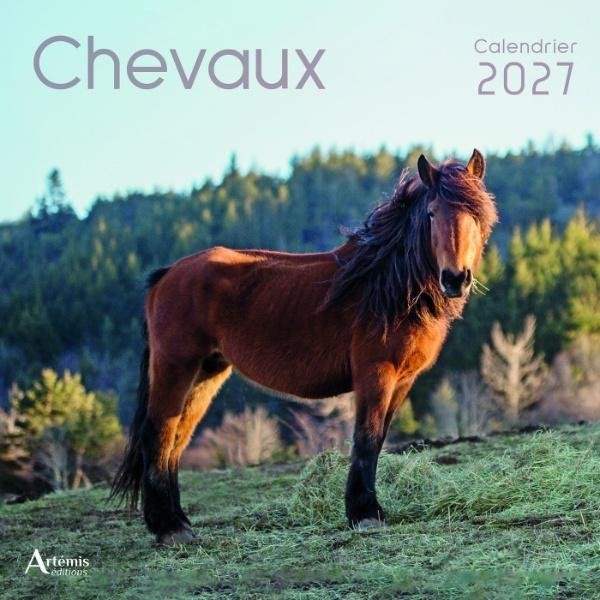 [434711] Calendrier chevaux 2027