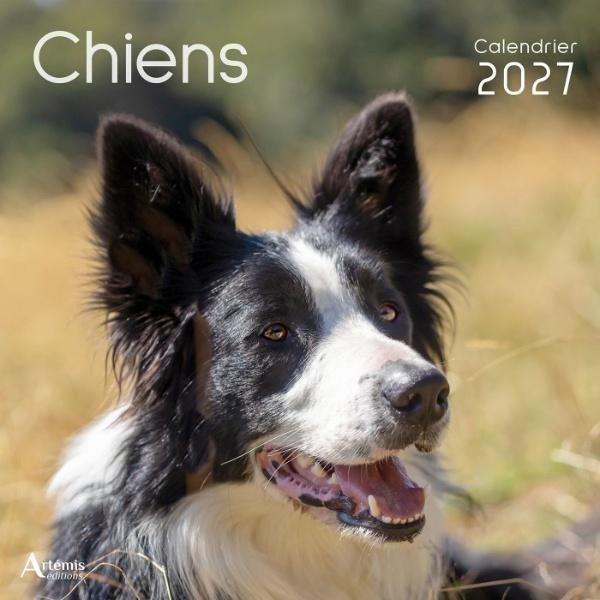 [434726] Calendrier Chiens 2027
