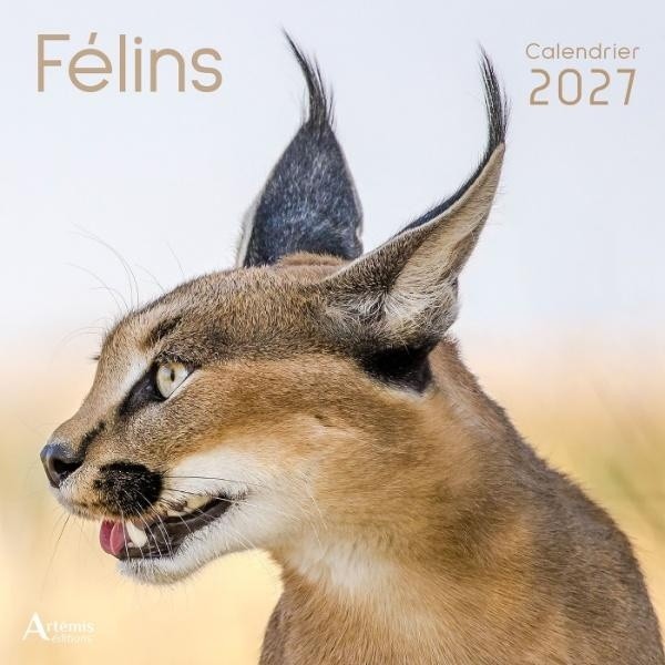 [434735] Calendrier Félins 2027