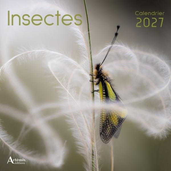 [434724] Calendrier Insectes 2027